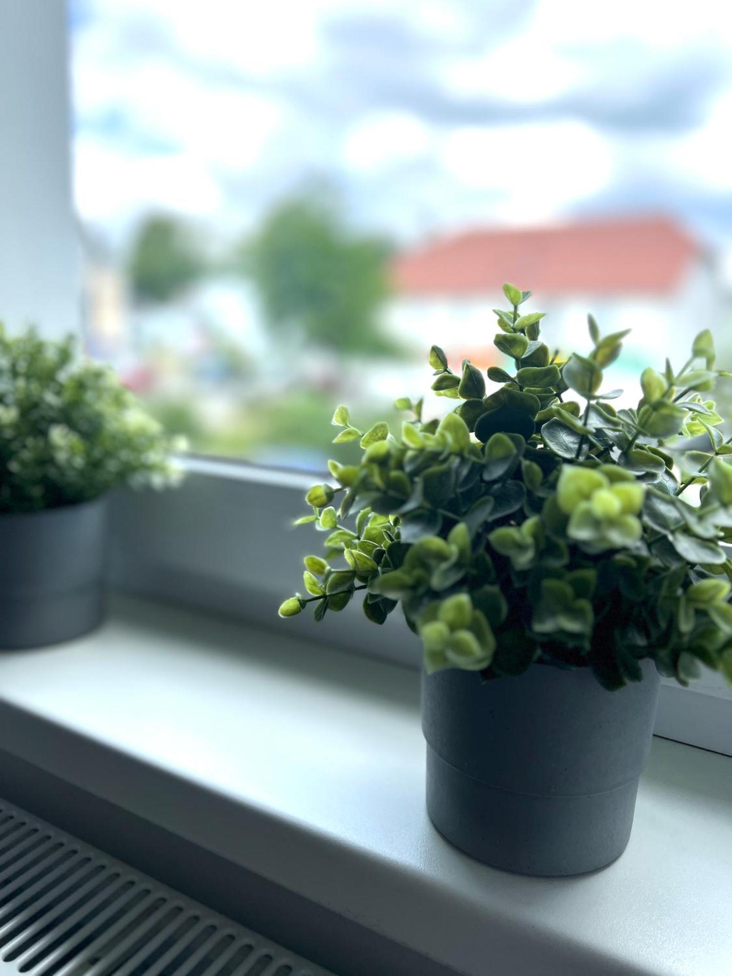 Apartment Stilvoll-fewo